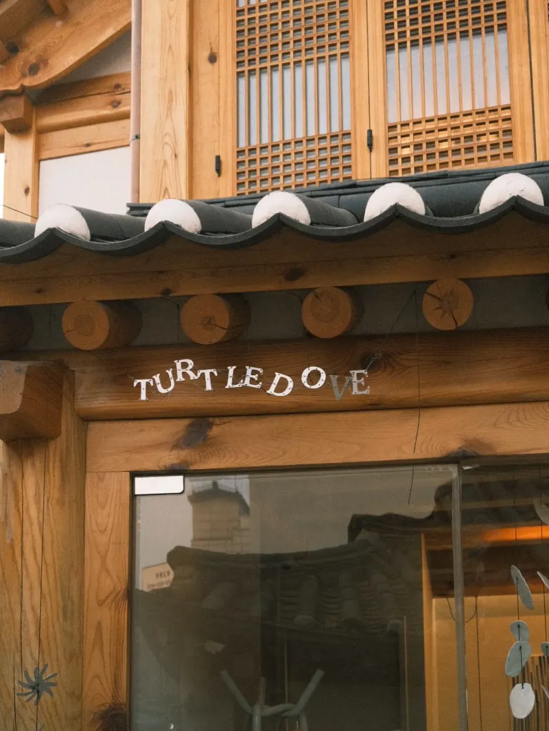 터틀도브 (Turtledove)